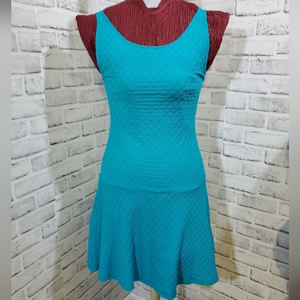 Metaphor Sleeveless Scoop Neck Mini Dress.  Size XS